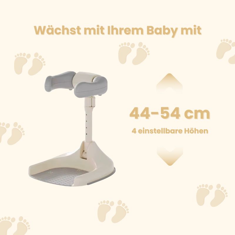 WashBuddy Pro