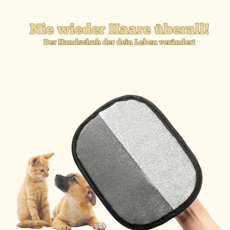 FurGlove - Remover