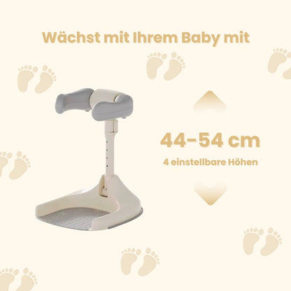 WashBuddy Pro