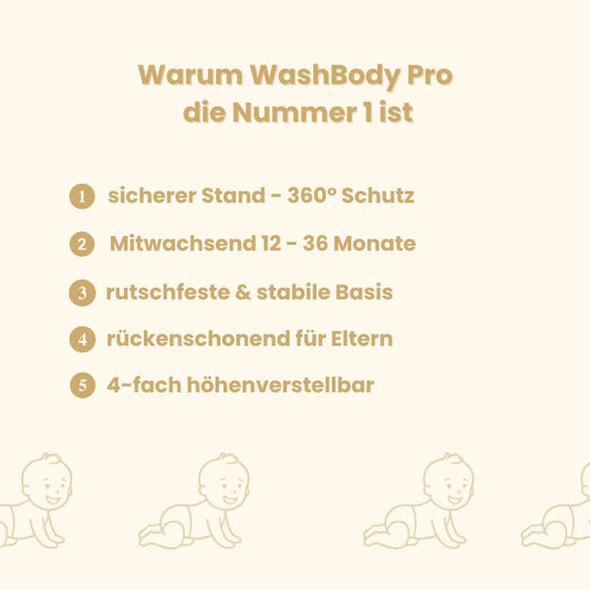 WashBuddy Pro